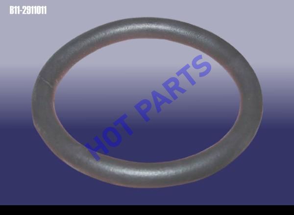 DAMPING RING