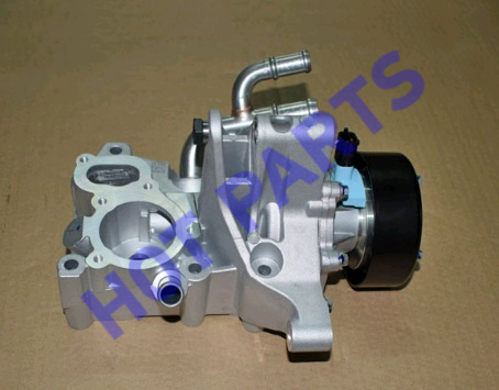 PUMP AND MODULE ASSLY
