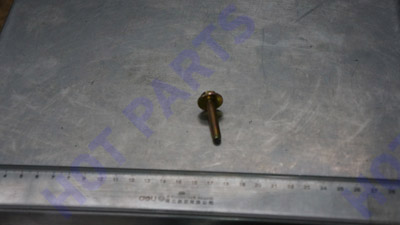 Bolt